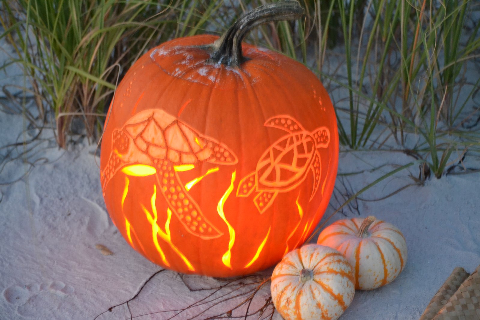 Beachy Halloween