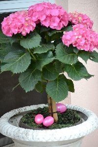 Easter egg pink_small