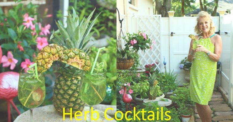 Herb Cocktails