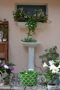 Our new backyard sink fountain_small