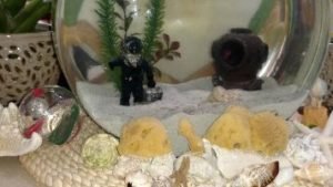 Tasso with ornament painted by Panama the dolphin_small
