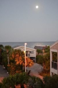 Thanksgiving morning moonset_small