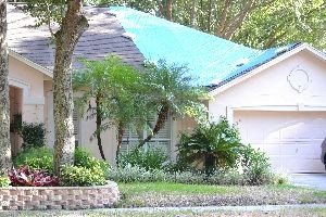 The blue tarp shame_small