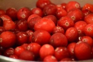 beautiful cranberries_small