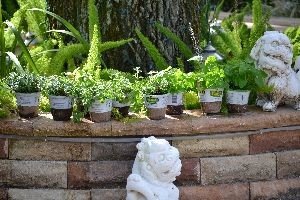 i went herb shopping_small