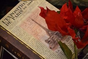 my French book box_small