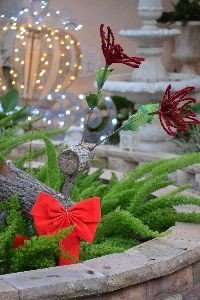my reindeer_small