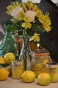 preserved lemons_small