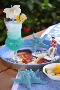 Elvis and Hawaii_small