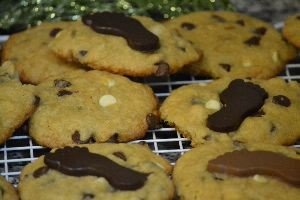 cookies for the keikis_small