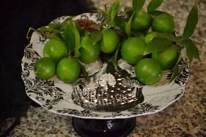 key-limes-from-our-tree_small