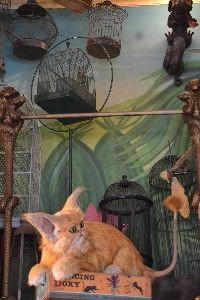 Hermiones cat_small