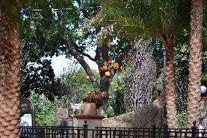 Universal Halloween decorations around_small