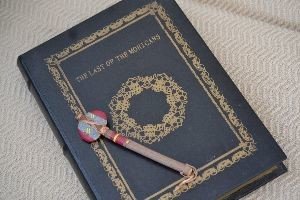 The Last of the Mohicans book box_small