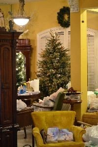 put up another tree_small