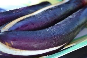 Japanese eggplant_small