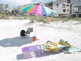 on the beach in Indian Shores