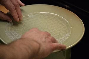 place onto a plate that has some water on it_small