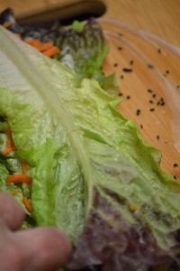 top with more lettuce_small