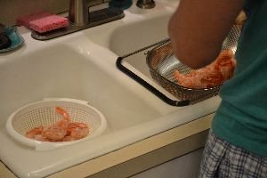 Brodie prepping he shrimp_small