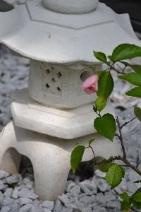 Hibiscus and Lantern_small