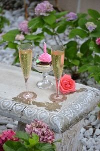 cheers anniversary wedsite_small