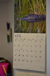 condo calendar_small