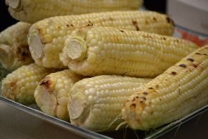 grilled corn_small