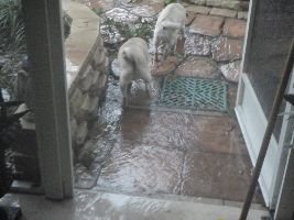 having to get out in the storm_small
