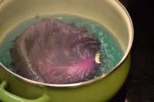 love the color of the water from boiling the purple cabbage_small