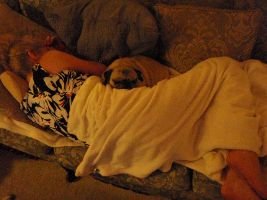 napping with my Monkee_small