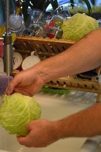 tear outer cabbage leaves carefully for the timbale and rinse to clean_small