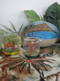 Hawaiian setting