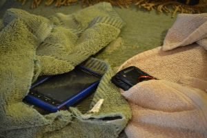our cell phones_small
