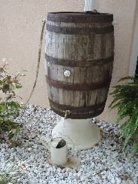 A Our old wine barrel_small