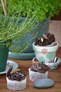 Plants and bug cupcakes_small