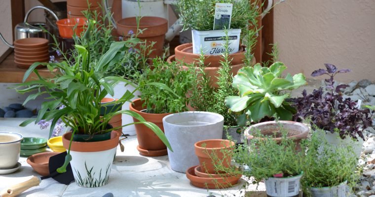 Potting Bench Gifts of Herbs, Flowers, and Food