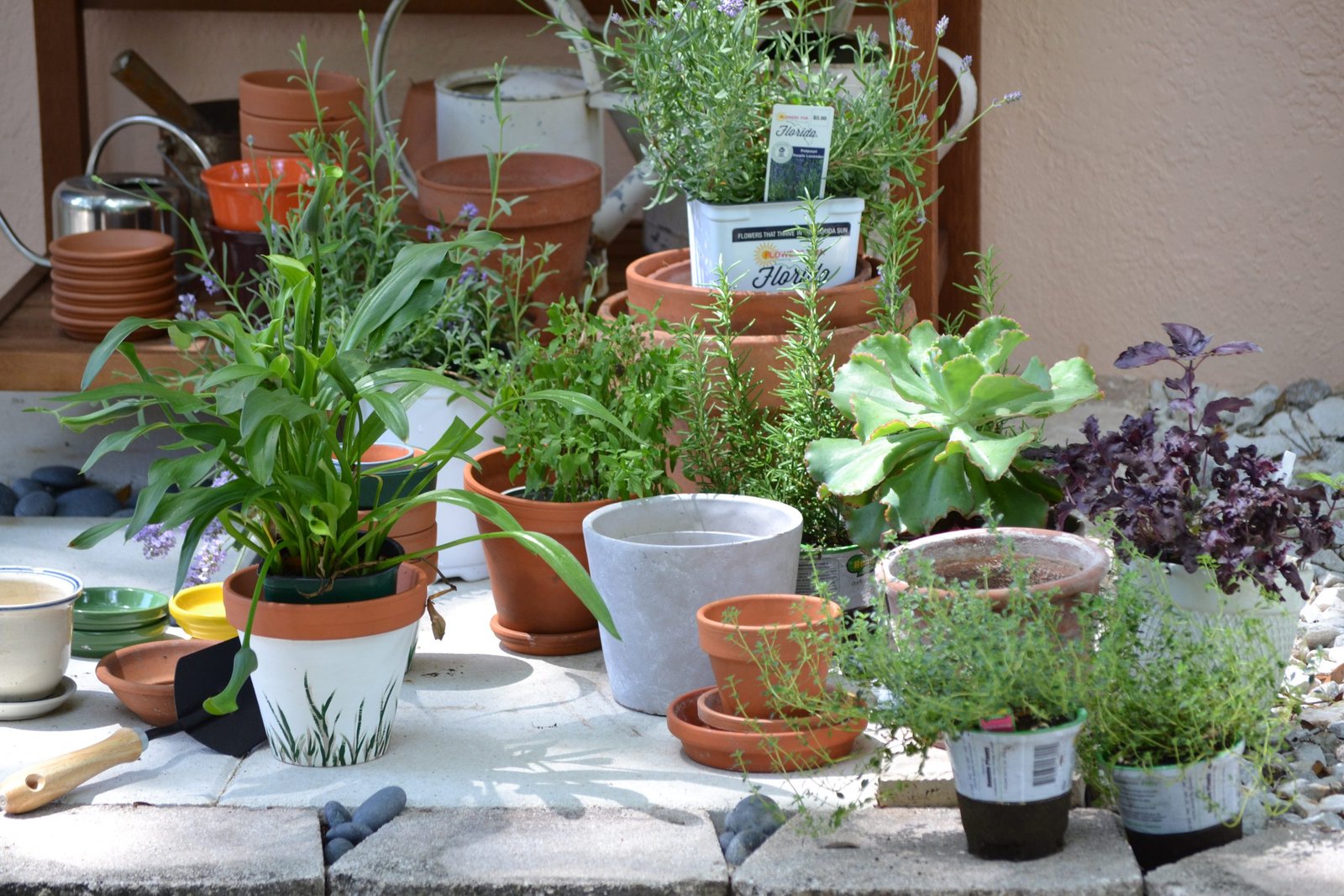 Potting Bench Gifts of Herbs, Flowers, and Food