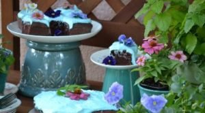 Slider Photo Potting Bench_small