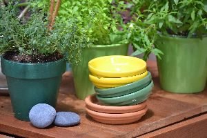colorful saucers_small