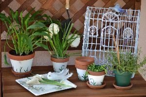 cute calla lily gifts_small