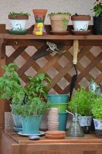 herbs with pots_small