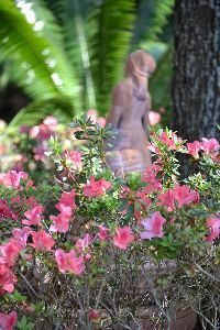 my fountain girl_small