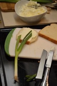 next place the spring onion_small