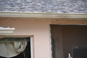 paint the trim and spray the gutters_small