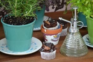 pots herbs bugs and cupcakes_small
