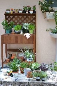 potting bench for herbs and flowers_small