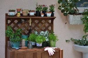 potting bench getting some use_small