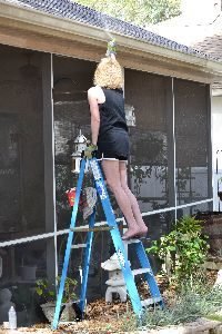 spray painting the gutters and painting the trim_small