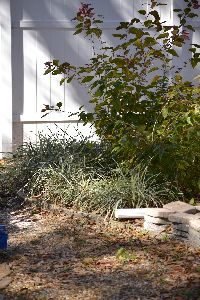 the before of the end retaining wall landscaping project_small